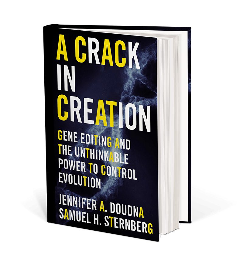 a-crack-in-creation_blog